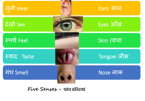 five-senses-paanch-indriya